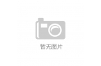 展前景与产业链现状分析报告（2025）z